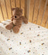 Sleepi Mini V3 paigaldatud lina, Miki tähistamine